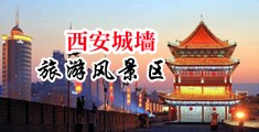 老板内射秘书中国陕西-西安城墙旅游风景区